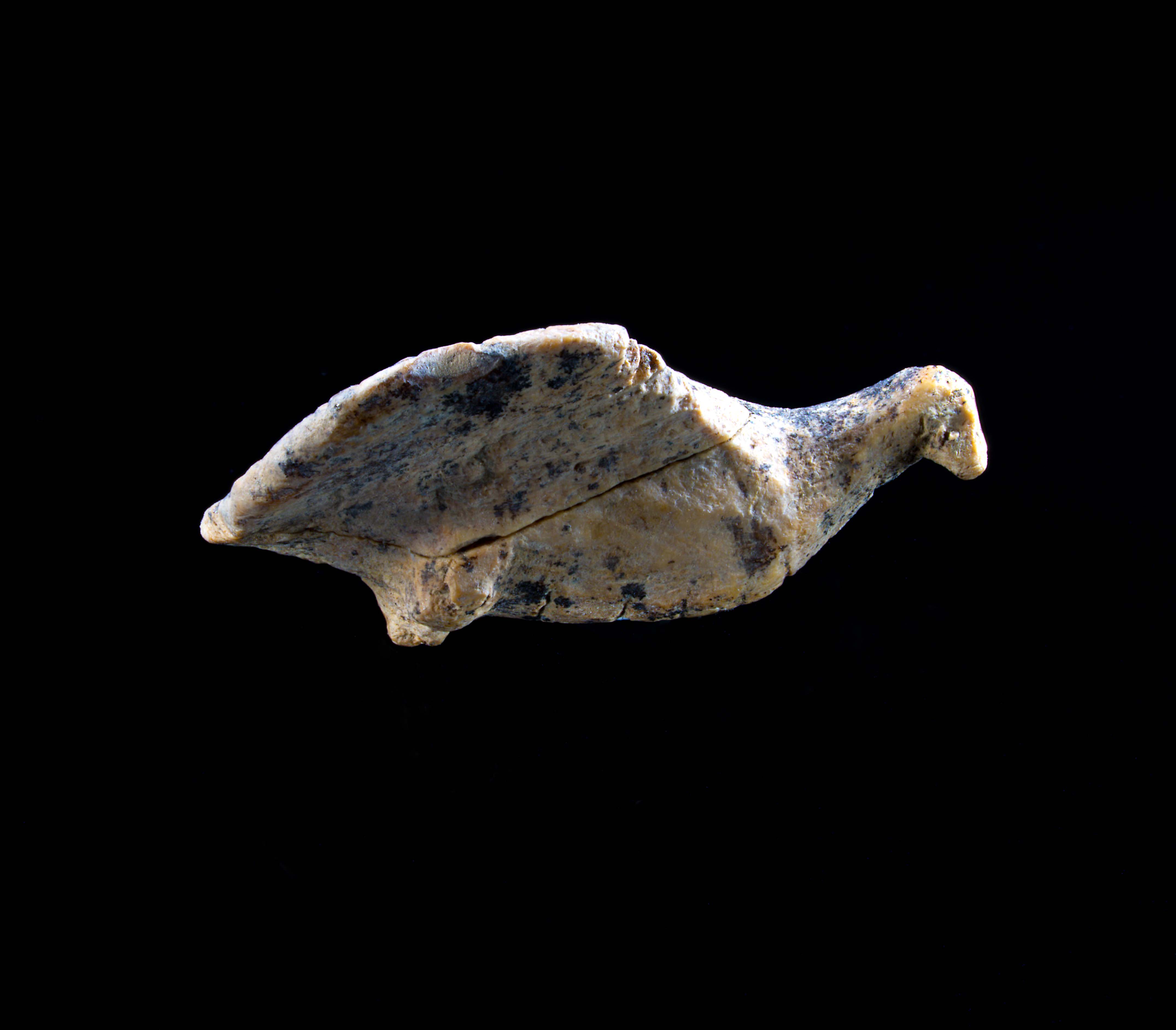 A side on picture of the bird in flight figurine. 